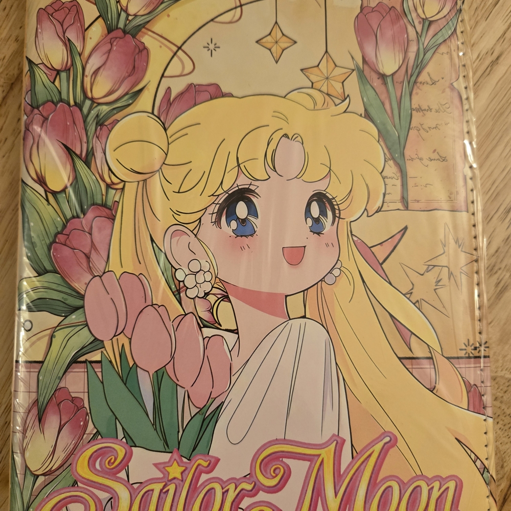 Sailor Moon Anime Poster